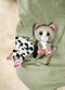 NICI 48695 knuffel