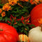 Customize it - Tuinschilderij pompoen deco 130x70cm