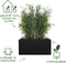 Elho Vivo Next Lang 80 - Plantenbak voor Binnen & Buiten - 100% Gerecycled Plastic - L 78.0 x H 37.9 cm - Living black