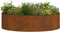 vidaXL - Tuinplanten - 5 - stuks - 80x80x20 - cm - Cortenstaal