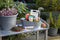 HAN opberger - toolbox - Loft - mobiele organiser - graniet grijs - HA-1200-19