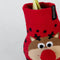 Plant in a Box - Amaryllis - Hippeastrum 'Reindeer Sweater' - Bloembol - Rode bloemen