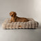 Scruffs Alpine - Hondenkussen - Luxe imitatie konijnenbont - Champagne - Large 100 x 70 cm