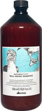Davines Naturaltech Well Being Shampoo 1000ml