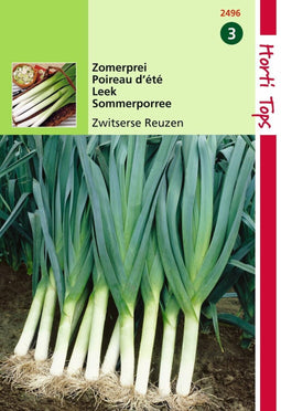 2 stuks - Hortitops - Prei Zwitserse Reuzen Zomer Vroege Herfst