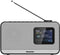 Panasonic RF-D15 - Portable Radio DAB/DAB+ FM - Verbeterde geluidskwaliteit - Zilver Zwart