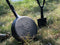 Valhal Outdoor Skillet / Koekenpan met steel - gietijzer, diameter 25cm - schenktuiten - VH25