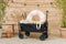 Lifa Garden Bolderkar - Opvouwbaar - Luchtbanden - Max laadvermogen 80 KG - 100x57x99cm - Zwart