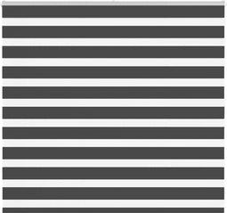 vidaXL - Zebra - rolgordijn - 160x100 - cm - stofbreedte - 155,9 - cm - zwart