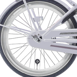 Alpina achterwiel 20 HLQC Ocean/Clubb zilver zink spk