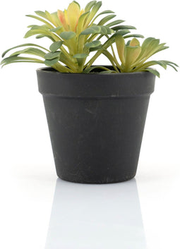 By-Boo Kunstplant Succulent - 2