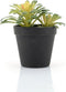 By-Boo Kunstplant Succulent - 2