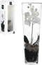 Witte Orchidee/Phalaenopsis kunstplant in vaas 50 cm voor binnen - Kunstplanten/nepplanten/binnenplanten