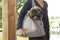 Designed by Lotte Bundu - Draagtas Hond - Warm pluche - Beige - 40x20x28 cm