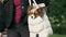 Designed by Lotte Tico - Draagtas Hond - Pluche binnenvoering - Antraciet 42x20x35 cm