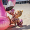 Swim Essentials Rosé Gouden Panterprint - Zwembandjes 0-2 jaar