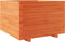 vidaXL - Plantenbak - 70x70x49,5 - cm - massief - grenenhout - wasbruin