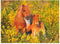 Ravensburger puzzel Shetland pony´s - Legpuzzel - 100 stukjes