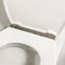 Tiger Boston - WC bril - Soft close - Easy Clean - Duroplast - Wit / RVS geborsteld