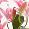 Mica Decorations Tijgerlelie Kunstplant in Bloempot Stan - H47 x Ø45 cm - Fuchsia