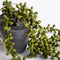 Mica Decorations Senecio Kunst Hangplant - H56 x Ø9 cm - Groen