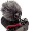 Røde VideoMicro - Shotgun Microfoon - Helder geluid - Zwart