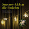 Giftmas LED Lichtgordijn Sneeuwvlokken - Kerstverlichting - 50 LED's - 6m - USB - IP44