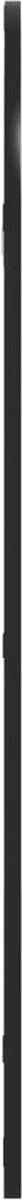 vidaXL - Wandspiegel - boog - 50x100 - cm - ijzer - zwart