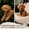 By Cee Cee Fluffy Autostoel - Hondenmand Auto - Veiligheidsriempje - Beige