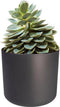 Elho B.for Soft Rond 30 - Bloempot voor Binnen - 100% Gerecycled Plastic - Ø 29.5 x H 27.6 cm - Antraciet