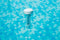 Bestway FlowClear - Drijvende Zwembadthermometer - Fahrenheit en Celsius