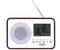 Camry CR1153 - Portable Radio DAB(+) CD Speler - Wit Zwart