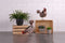 Green Series - Solar Kippenlampen - Zonne-energie - Brons (2 stuks)