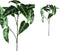 PTMD Leaves Plant Olifantsoor Kunsttak - 46 x 38 x 97 cm - Groen