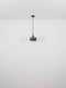 Globo Maxy - hanglamp - zwart smoke glas - Ø 29cm - E27 - 15548H1