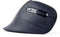 Gembird MUSW-ERGO-03 - Ergonomische muis - Draadloos 1600 dpi - Zwart