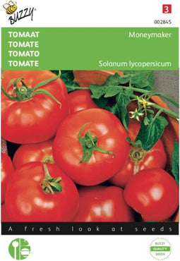 2 stuks - Buzzy - Tomaten Moneymaker