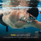 Soundvibe® Bone Conduction Headphone Zwart - Sporthoofdtelefoon - Sport oortjes - Draadloze