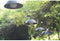Solar guirlande - Luna - 5 m - Zwart - 10 lampen - 50 lumen - USB oplaadbaar