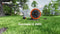 Segway Navimow i206 - Robotgrasmaaier - 600 m² - AWD