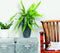 Goed & Groen - Epiphyllum pumilum - ↨ 30cm - Potmaat 17 - Exclusieve Kwaliteit Planten - Kamer Plant - Kamerplanten - Sfeer - Interieur