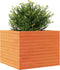 vidaXL - Plantenbak - 60x60x46 - cm - massief - grenenhout - wasbruin