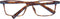 Timberland TB1816-H 57052 bril zonder sterke - Heren - Bruin