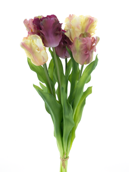 Nova nature - PSO Parrot tulip bundle Sally red combo 51 cm kunstbloem