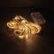 5 meter Touw Guirlande 50 LED lampjes LED verlichting op batterij