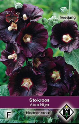 5 stuks Alcea rosea Nigra