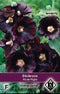 5 stuks Alcea rosea Nigra