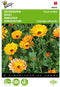 5 stuks - Buzzy - Calendula officinalis Touch of Red mixed Tuinplus