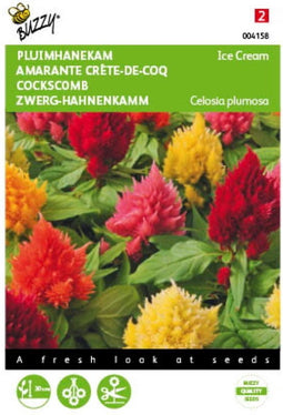 5 stuks - Buzzy - Celosia plumosa Ice Cream mixed Tuinplus
