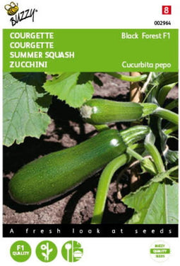 5 stuks - Buzzy - Courgette Klimmend Black Forest F1 Tuinplus